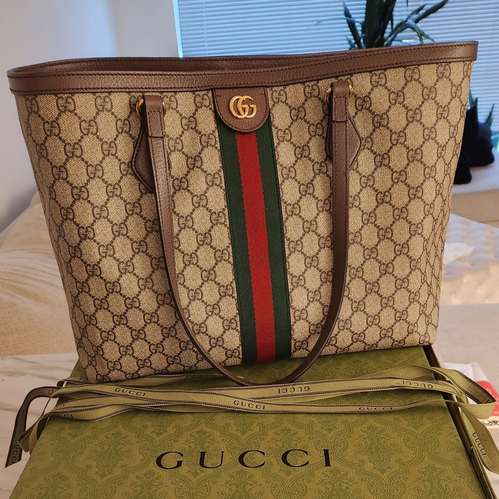 Gucci Ophidia bag